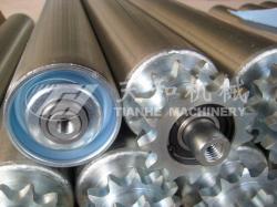 TH2321型 鋼制(zhì)雙鏈輥(gun)筒